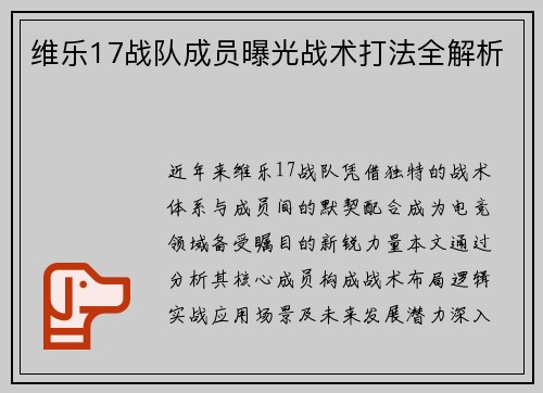 维乐17战队成员曝光战术打法全解析